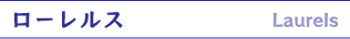 ローレルス
