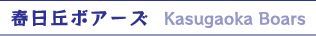春日丘ボアーズ