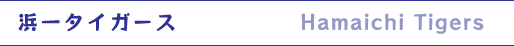 浜一タイガース