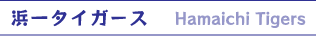 浜一タイガース